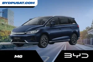 BYD M6