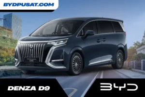 Denza D9