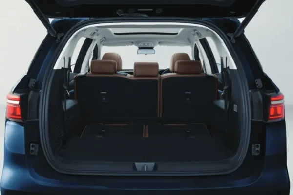 BYD M6