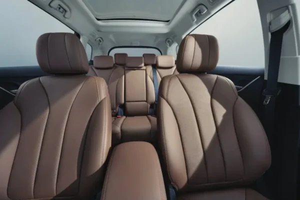 BYD M6